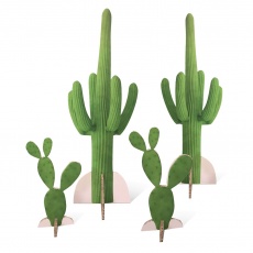 Cactus en carton