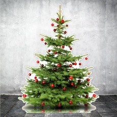 Sapin de Noël en carton