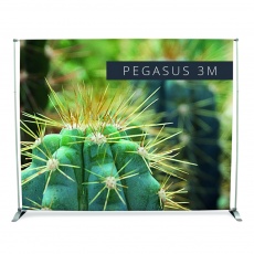 Mur d'image Pegasus XXL