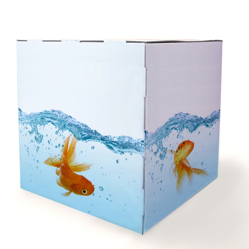 Cube en carton 40 x 40 cm  Cube en carton